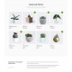 Plantilla Web Plantas
